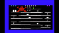 Donkey Kong (VIC-20) (ONLINE ORDER ONLY)