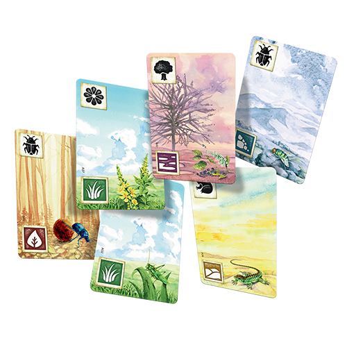 Meadow (ONLINE ORDER ONLY)