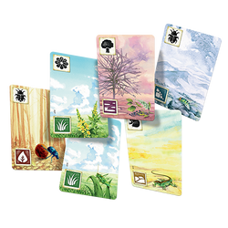 Meadow (ONLINE ORDER ONLY)