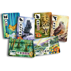 Meadow (ONLINE ORDER ONLY)