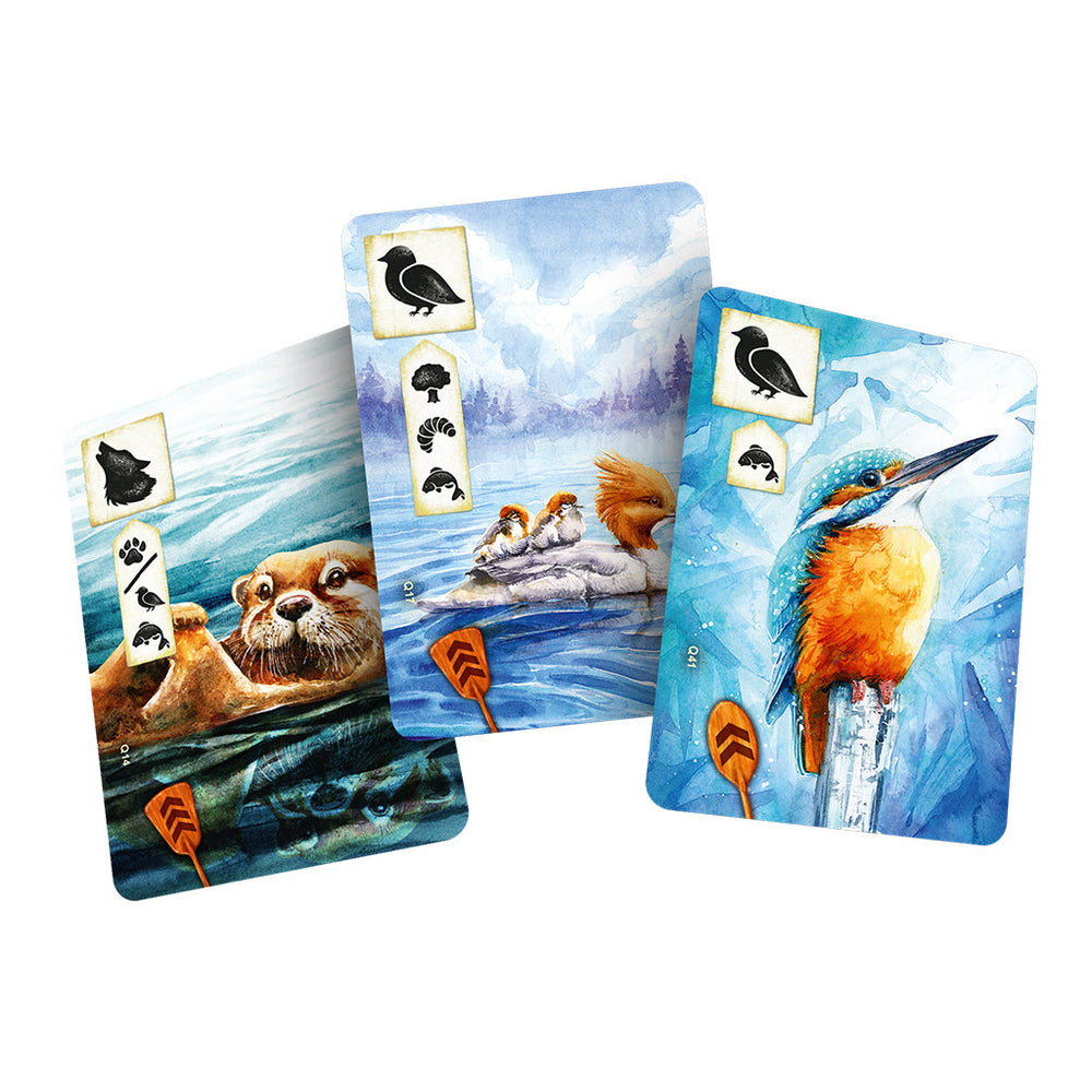 Meadow Downstream (ONLINE ORDER ONLY)