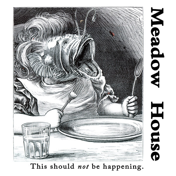 This Should Not Be Happening [Vinyl] (ONLINE ORDER ONLY)
