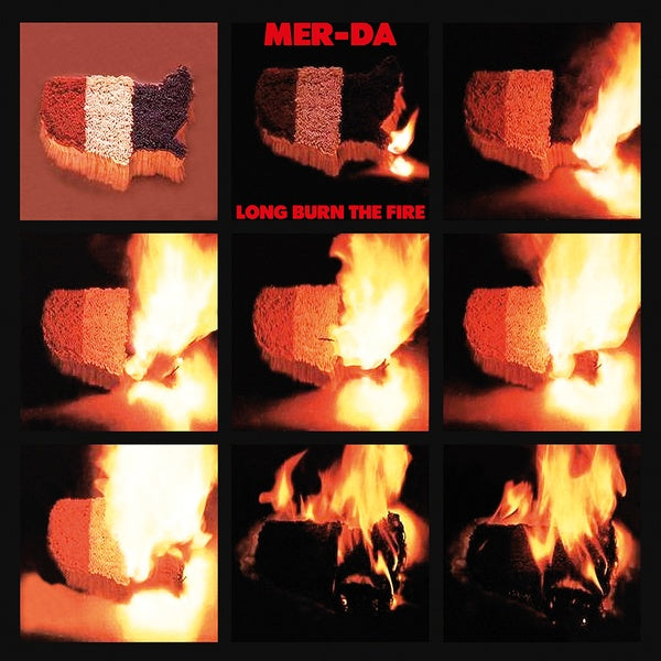 Long Burn The Fire [Vinyl] (ONLINE ORDER ONLY)
