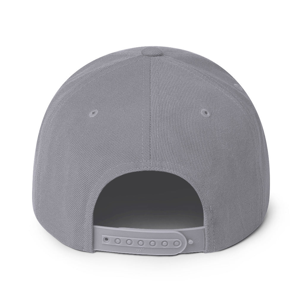 HIM Classic Logo Grey Embroidered Snap Back Hat [Apparel] (ONLINE ORDER ONLY)