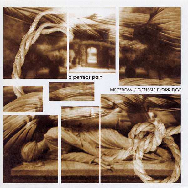 MERZBOW/GENESIS BREYER P-ORRIDGE - A Perfect Pain [CD] (ONLINE ORDER ONLY)