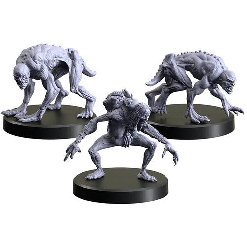 The Witcher RPG: Necrophages 3 - Grave Hag (ONLINE ORDER ONLY)