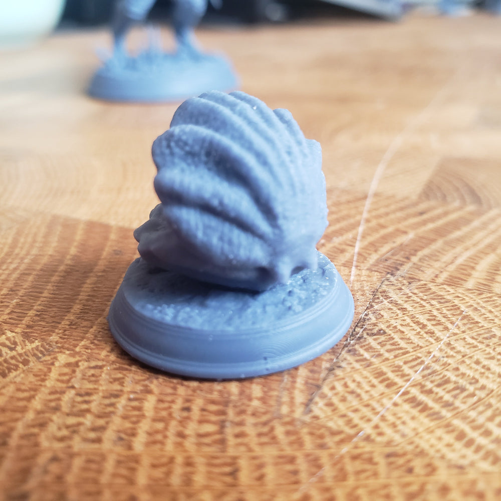 Mimic Clam (Online Order Only)