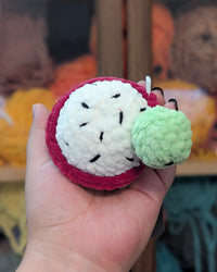 Dragonfruit Turtle Stuffed Animal (ONLINE ORDER ONLY)