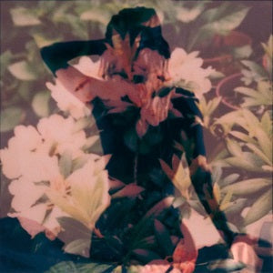 Modern Vices [CD] (ONLINE ORDER ONLY)