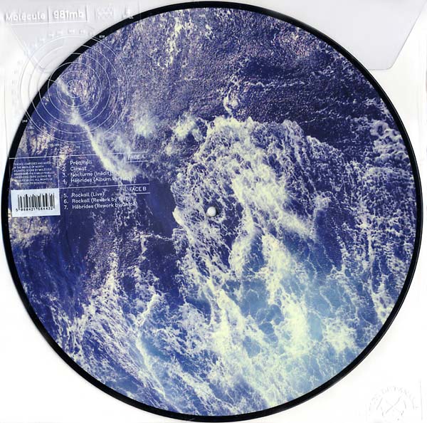 MOLECULE - 981 MB [Vinyl] (ONLINE ORDER ONLY)