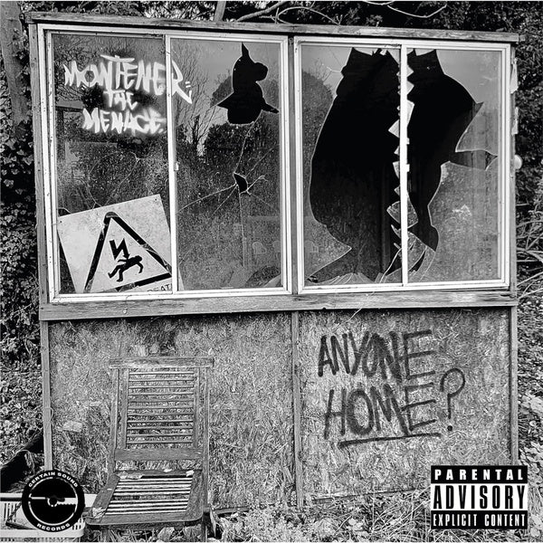 Anyone Home? [Vinyl]