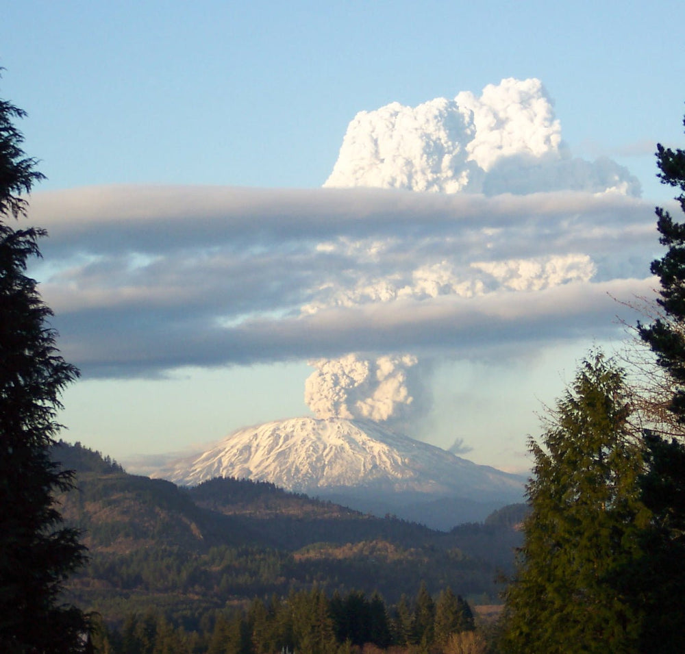 Mount St. Helens Volcanic Ash (ONLINE ORDER ONLY)