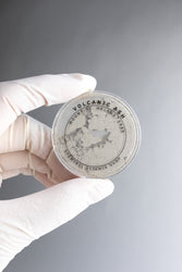 Mount St. Helens Volcanic Ash (ONLINE ORDER ONLY)