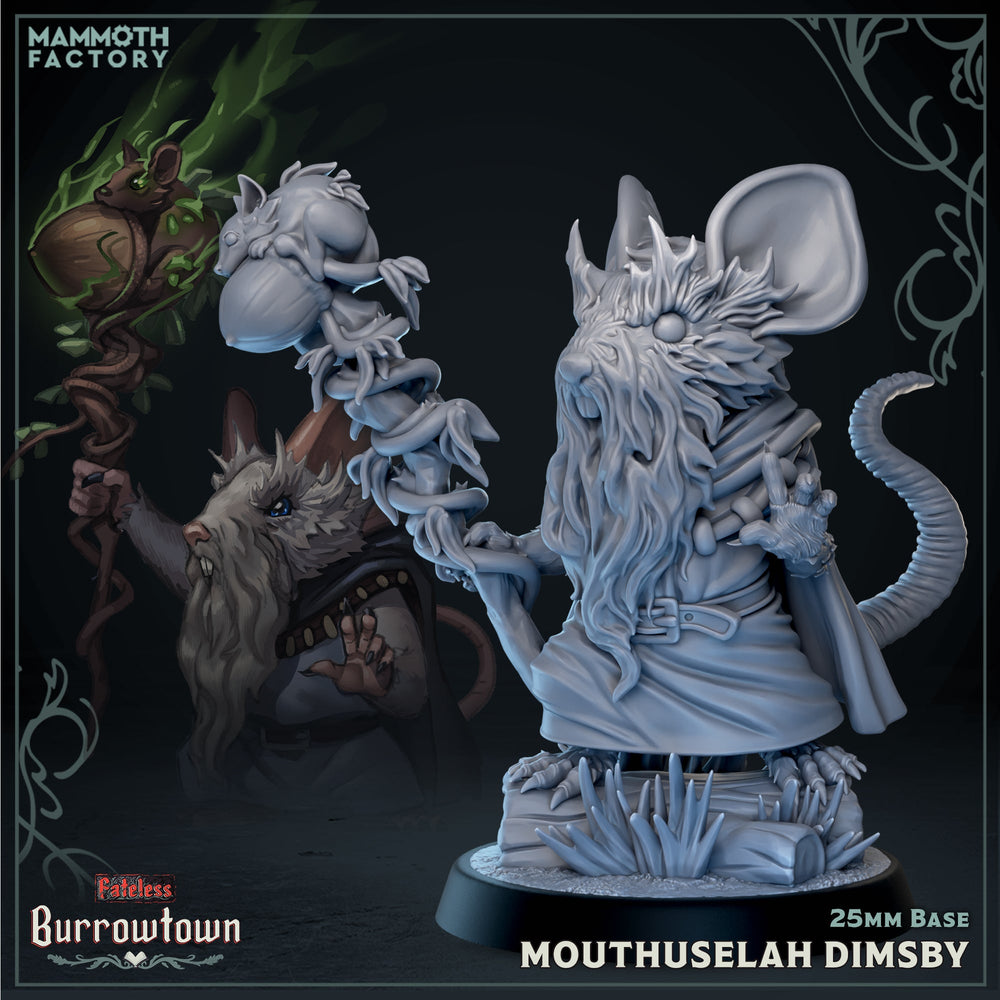 Mouthuselah Dimsby (Male Jerbeen Wizard) (ONLINE ORDER ONLY)