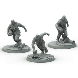 Fallout: Wasteland Warfare - Super Mutants - Suiciders (ONLINE ORDER ONLY)