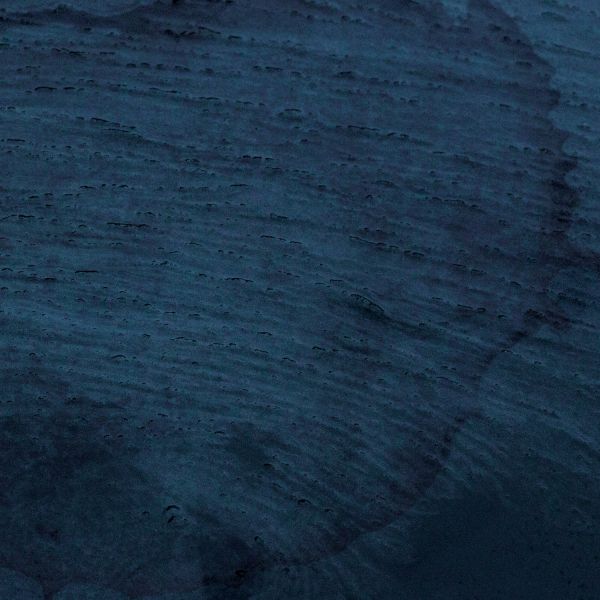 Multicast Dynamics - Aquatic System [CD] (ONLINE ORDER ONLY)