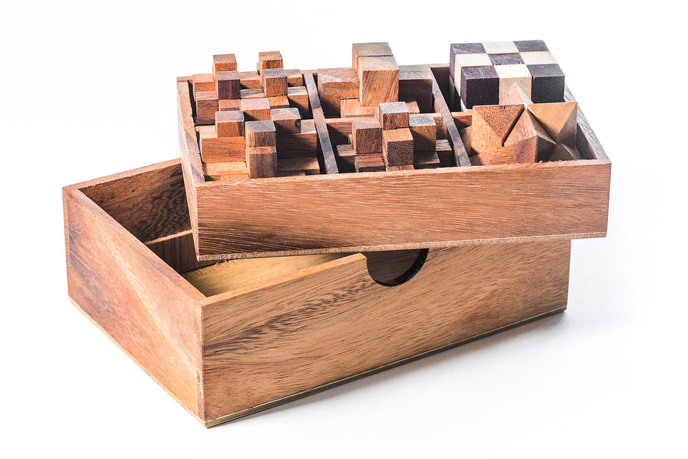 6 STEM Puzzle Gift Set - Wooden Puzzle Brain Teaser (Online Order Only)