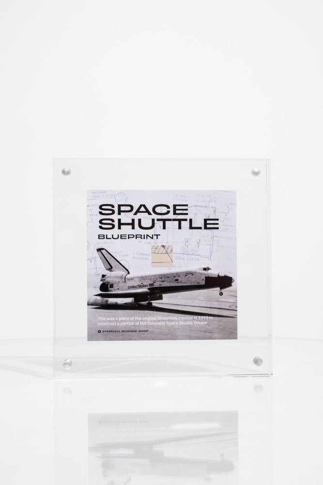 NASA Space Shuttle Blueprint Fragment (ONLINE ORDER ONLY)