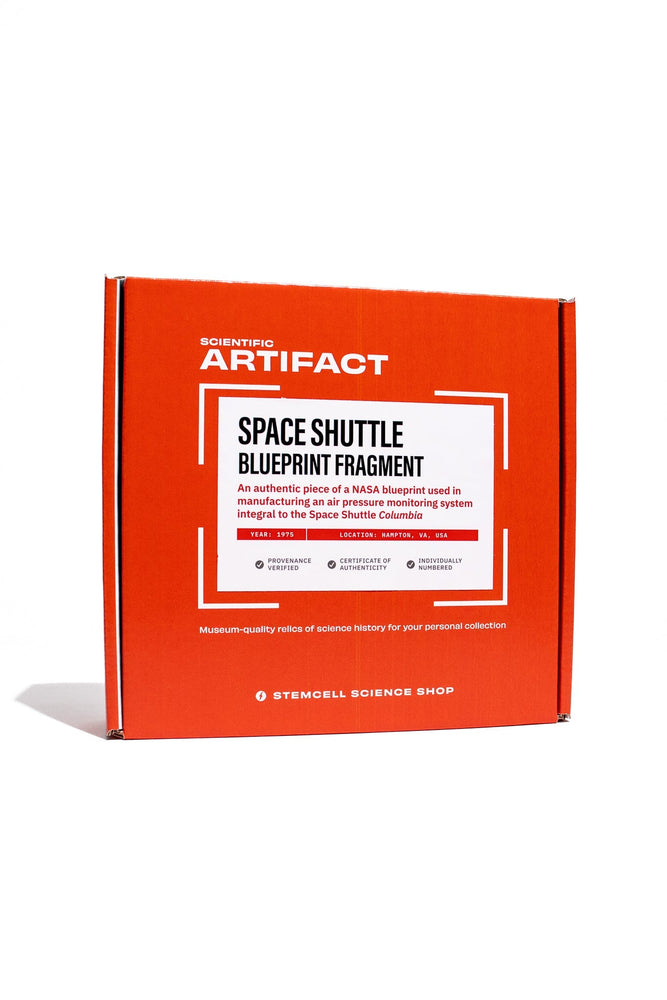 NASA Space Shuttle Blueprint Fragment (ONLINE ORDER ONLY)