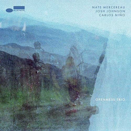 Openness Trio [180G Lp] [Vinyl] (ONLINE ORDER ONLY)