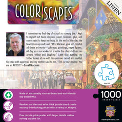 Colorscapes - New Orleans Style 1000 Piece Jigsaw Puzzle