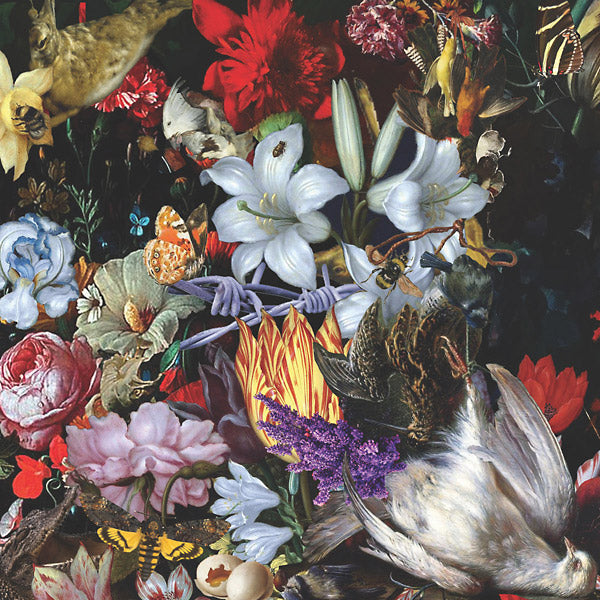Nightingales - Perish The Thought [Vinyl] (ONLINE ORDER ONLY)