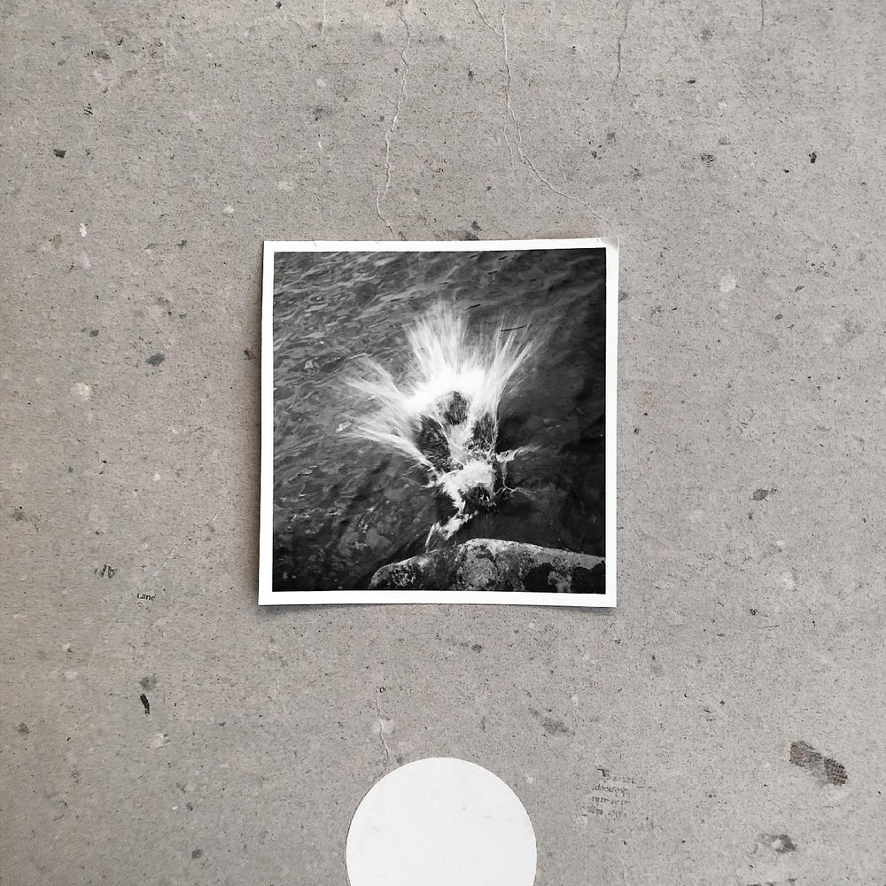 Empty [Vinyl] (ONLINE ORDER ONLY)