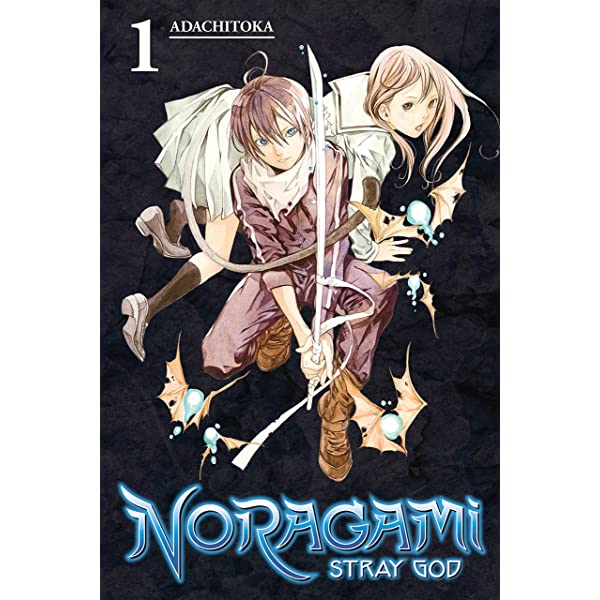 Noragami Stray God Vol 1 (Online Order Only)