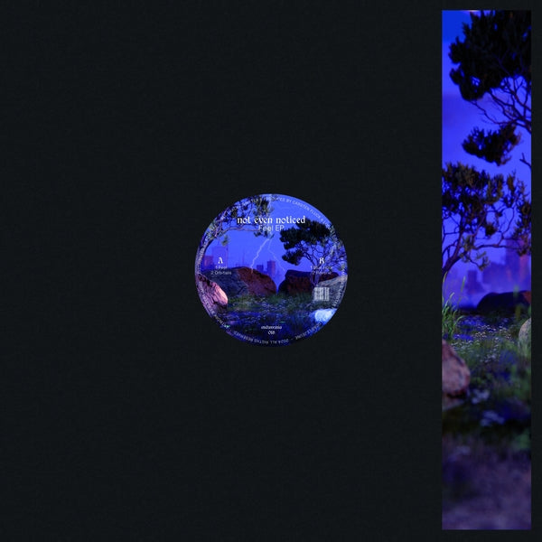 Feel [Vinyl]