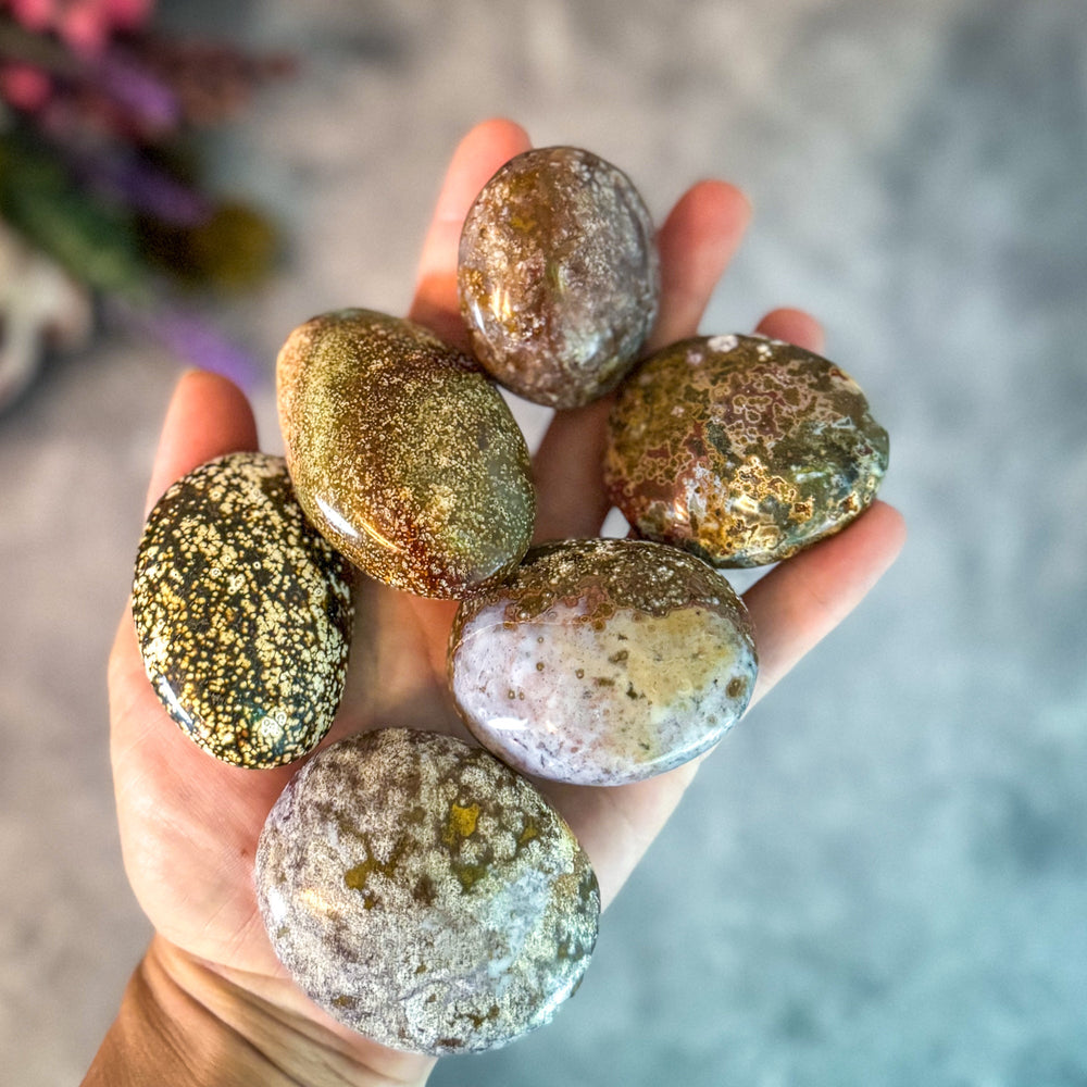 Ocean Jasper Palmstones (ONLINE ORDER ONLY)