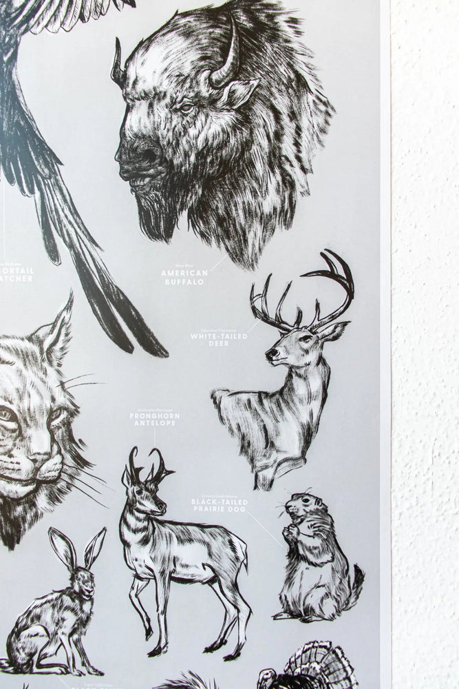 Oklahoma Wildlife Chart (ONLINE ORDER ONLY)