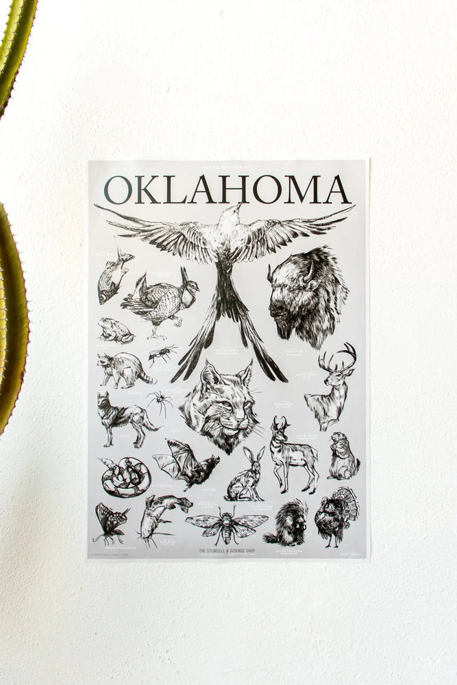 Oklahoma Wildlife Chart (ONLINE ORDER ONLY)