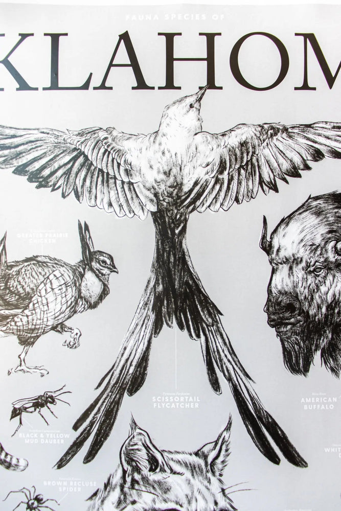 Oklahoma Wildlife Chart (ONLINE ORDER ONLY)