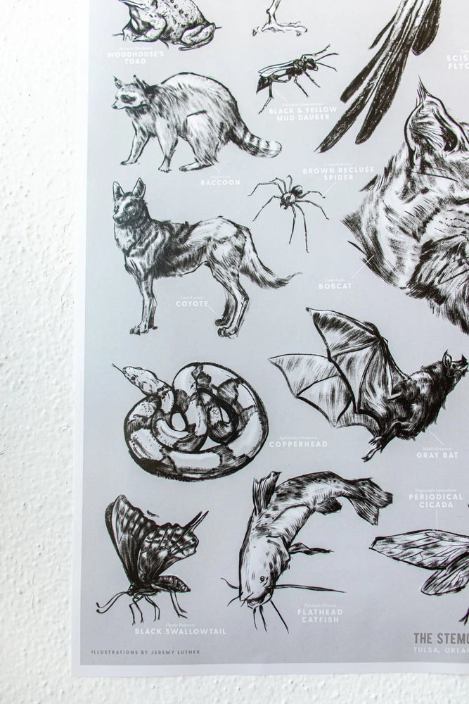Oklahoma Wildlife Chart (ONLINE ORDER ONLY)