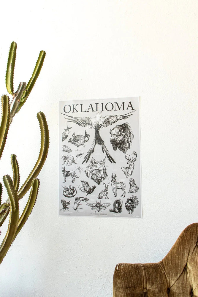 Oklahoma Wildlife Chart (ONLINE ORDER ONLY)