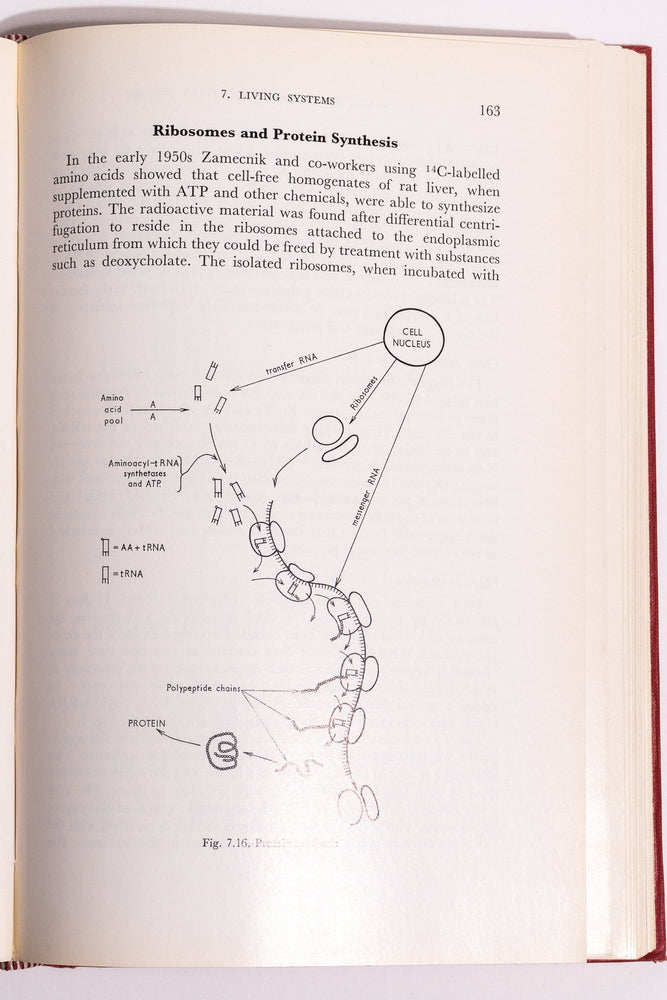 Origin and Development of Living Systems (ONLINE ORDER ONLY)