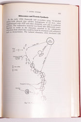 Origin and Development of Living Systems (ONLINE ORDER ONLY)