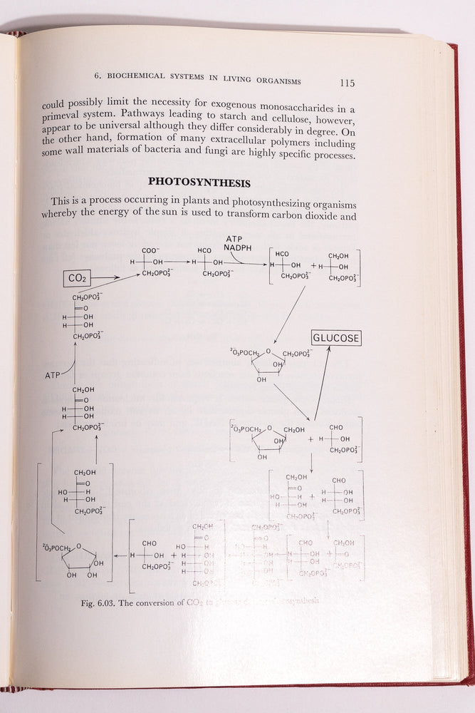 Origin and Development of Living Systems (ONLINE ORDER ONLY)