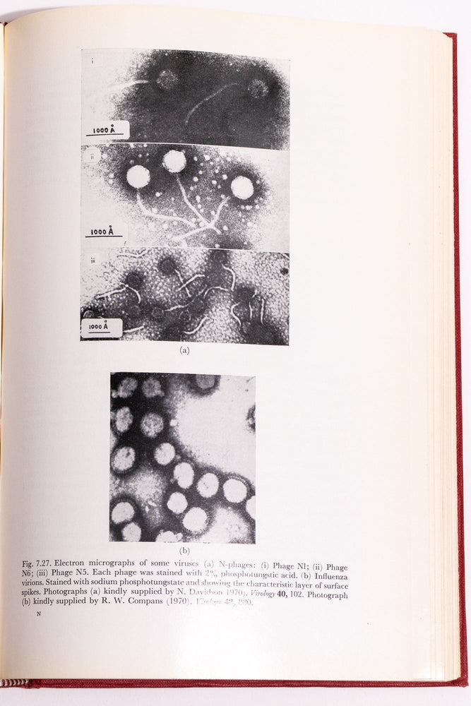 Origin and Development of Living Systems (ONLINE ORDER ONLY)
