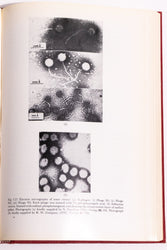 Origin and Development of Living Systems (ONLINE ORDER ONLY)