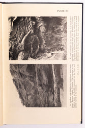 Outlines of Structural Geology (ONLINE ORDER ONLY)