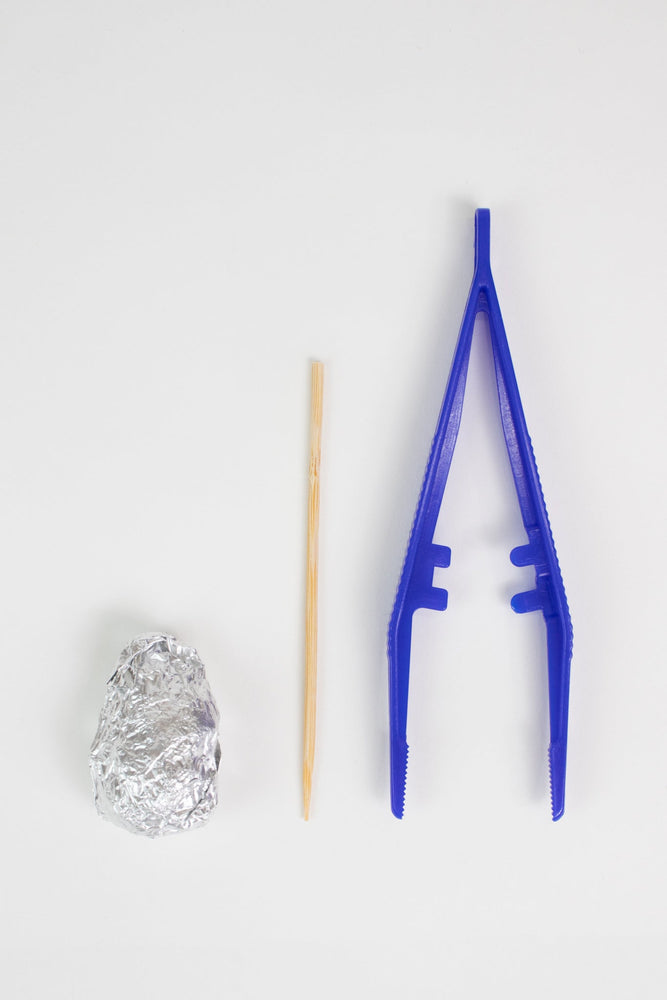 Owl Pellet Dissection Kit (ONLINE ORDER ONLY)