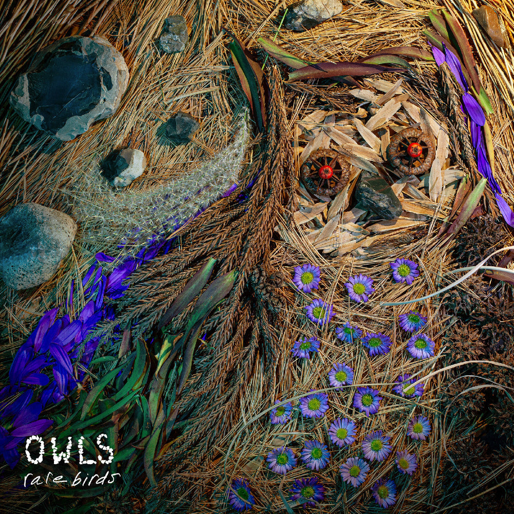 Rare Birds [CD] (ONLINE ORDER ONLY)