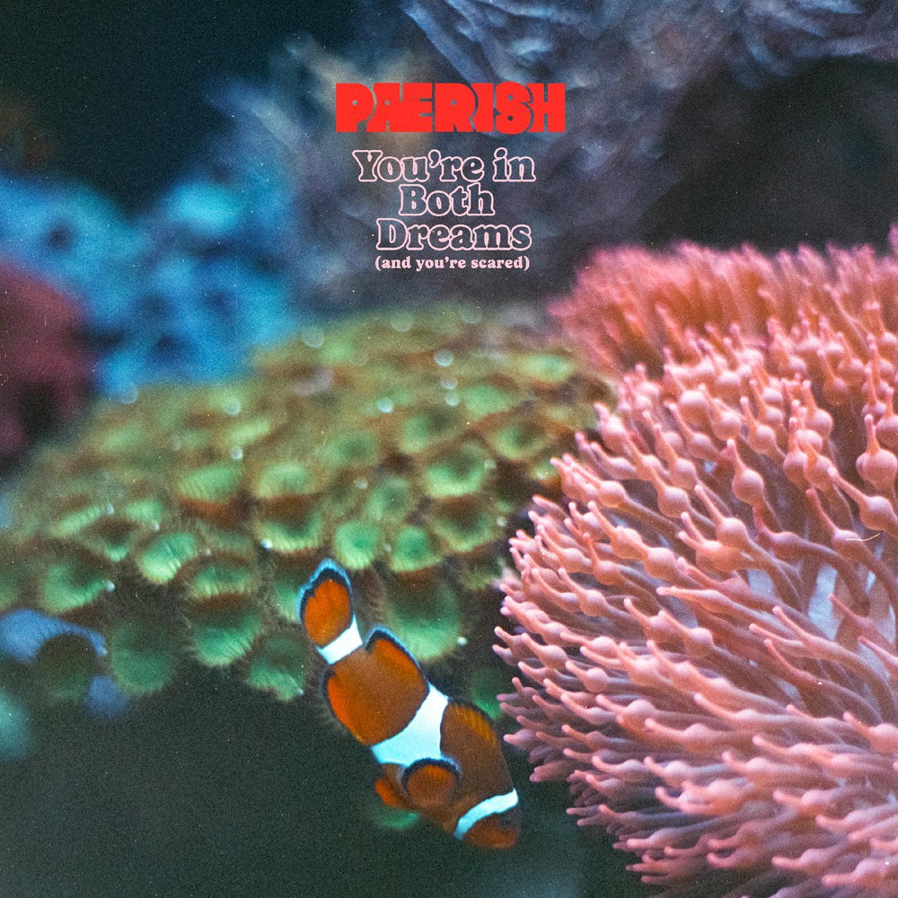 You're In Both Dreams (and You're Scared) [CD]