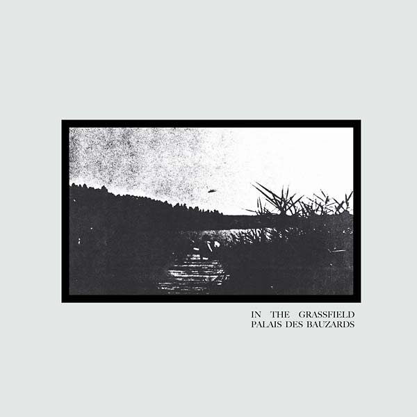 PALAIS DES BAUZARDS - In the Grassfield [Vinyl] (ONLINE ORDER ONLY)