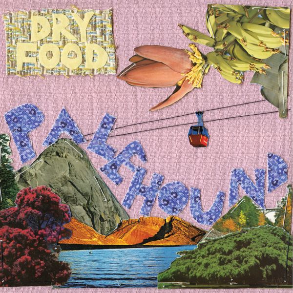 Palehound - Dry Food [Vinyl]