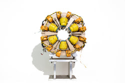 Particle Accelerator Fragment (ONLINE ORDER ONLY)