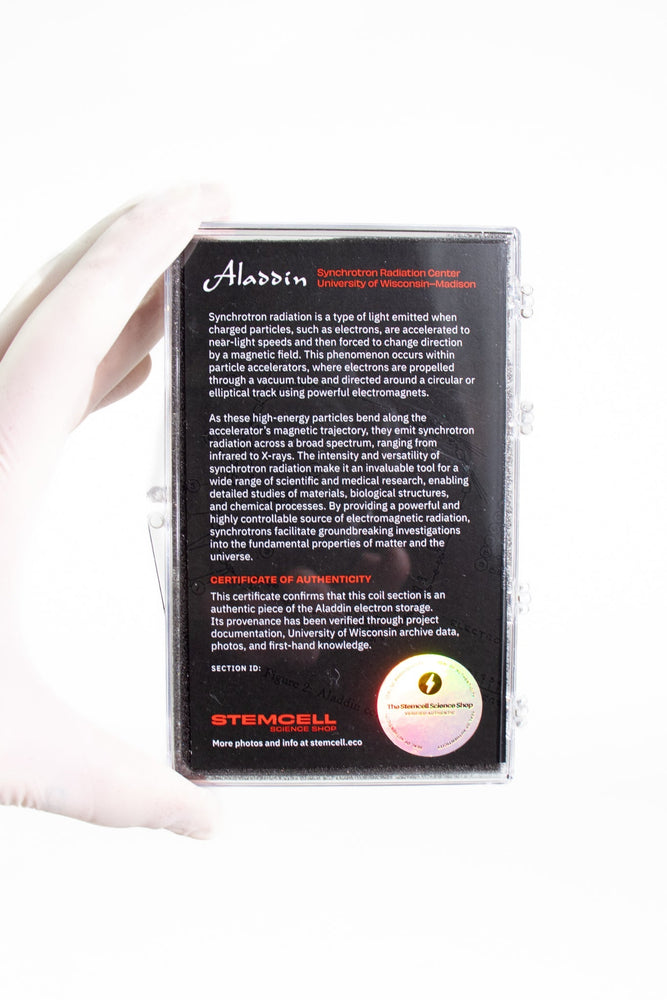Particle Accelerator Fragment (ONLINE ORDER ONLY)