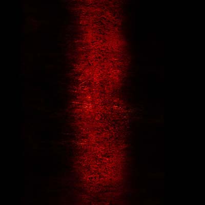 Rites [CD] (ONLINE ORDER ONLY)
