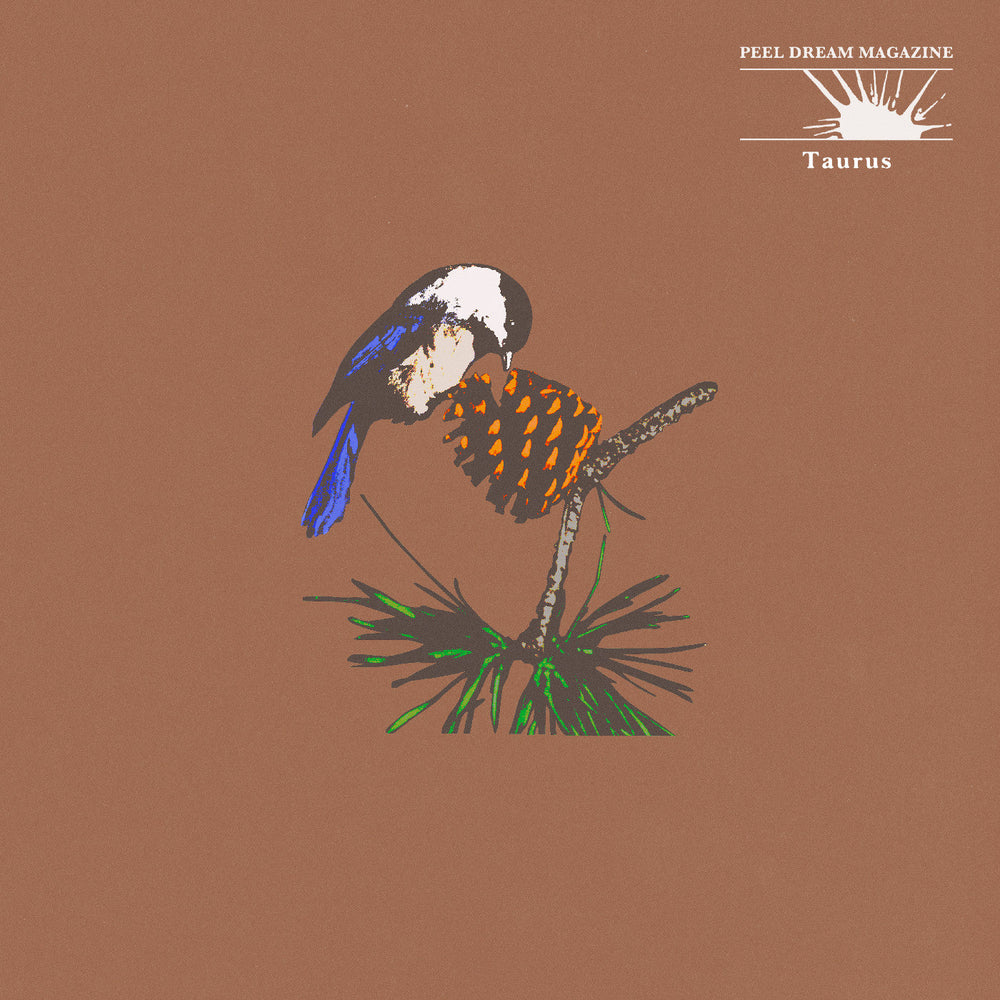 Taurus (Yellow Tinted Transparent Cassette) [Cassette] (ONLINE ORDER ONLY)